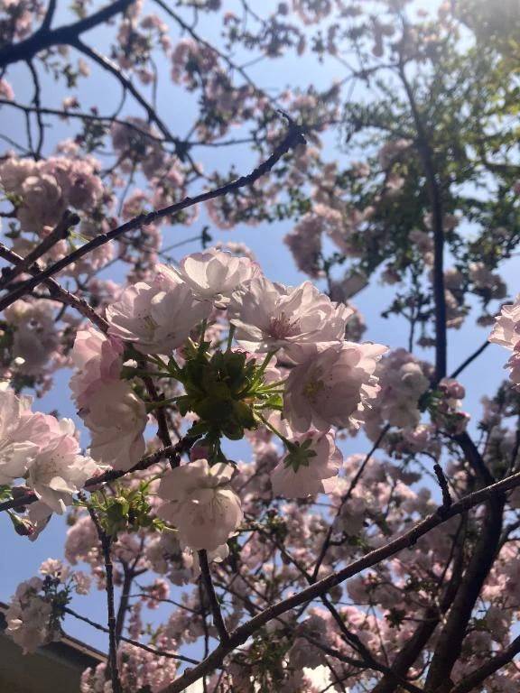 ※【4月の事】「-夏-」