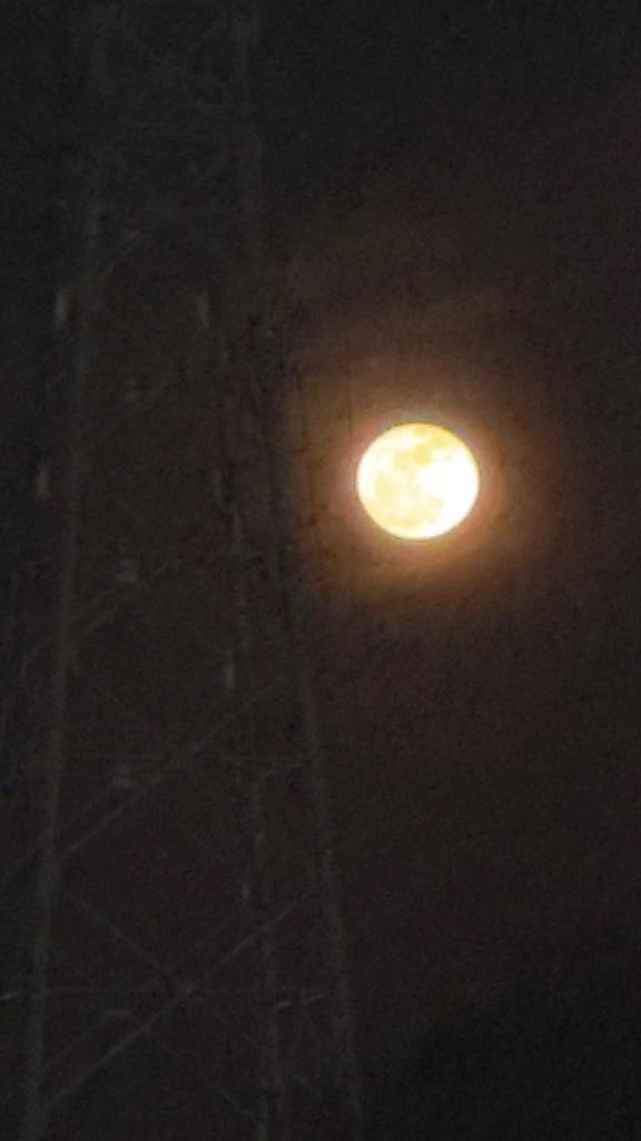 🌕🌕🌕