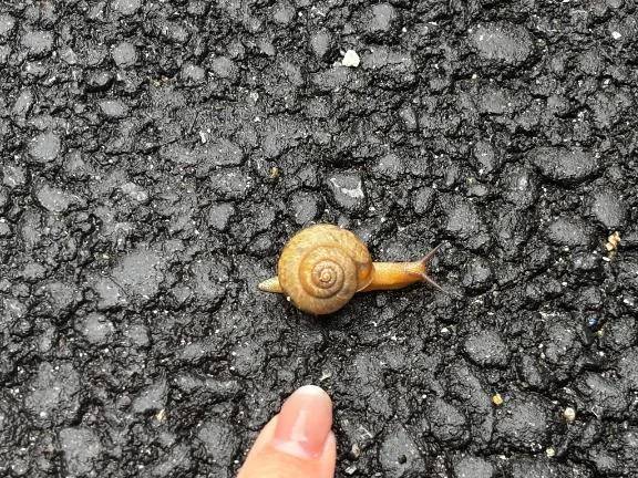 でんでん♪む~しむし♪\( *´ω`* )/♪