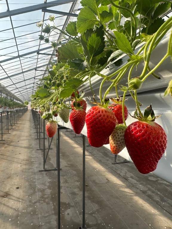 お知らせ⋆͛📢⋆