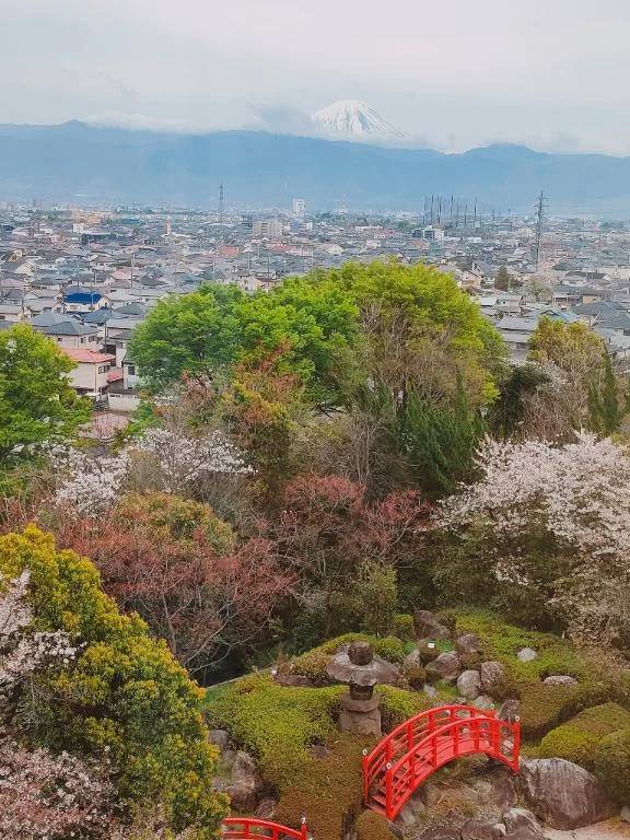 山梨🗻