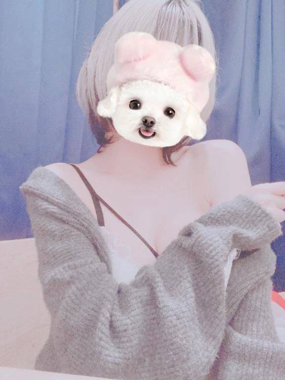 あした❕