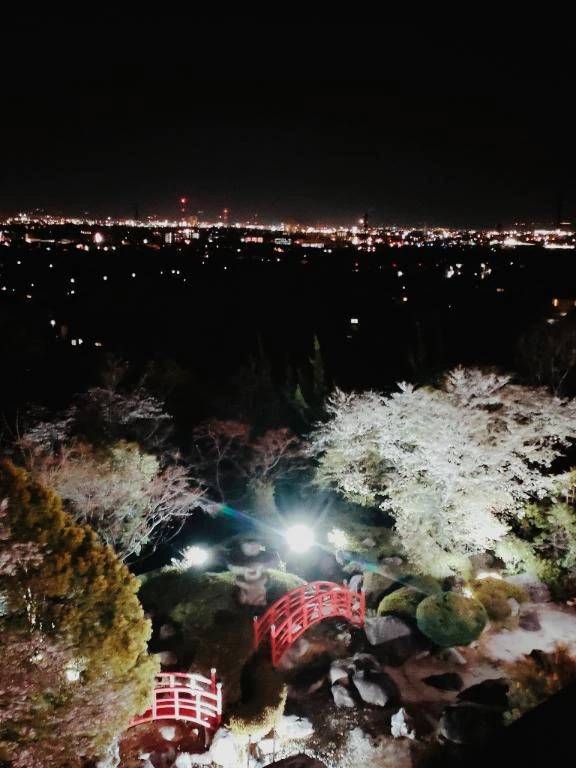 甲府盆地の夜景
