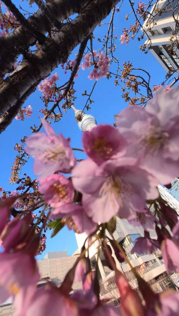 おはようございます☀️