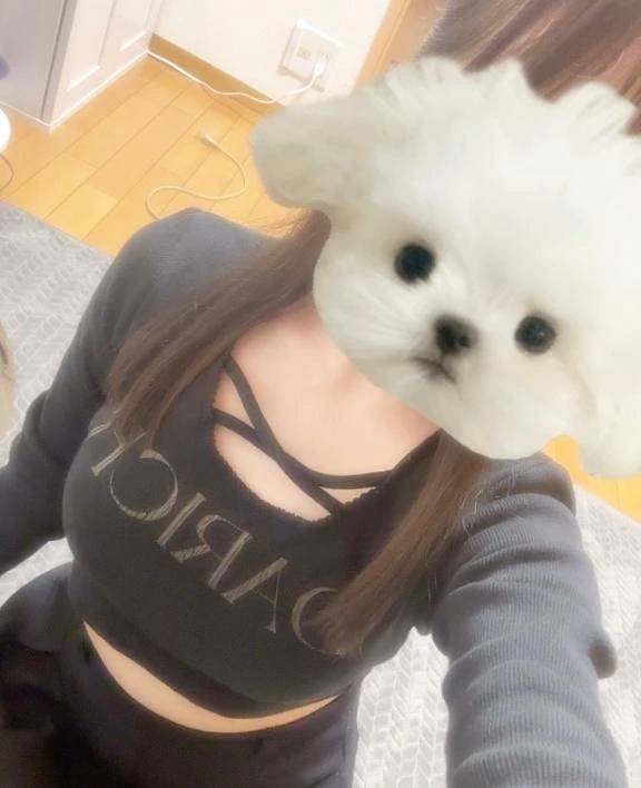 出勤予定⭐