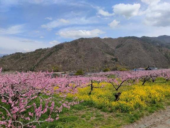 ４月出勤/１７日＆２７日