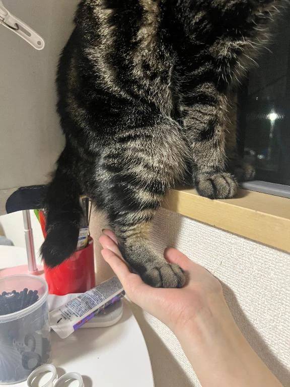 普段は下僕させてもろてます。