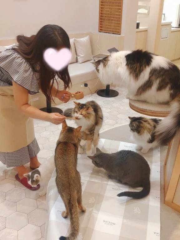 明日💗