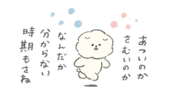 はーい､ただいま\( *´ω`* )/♪