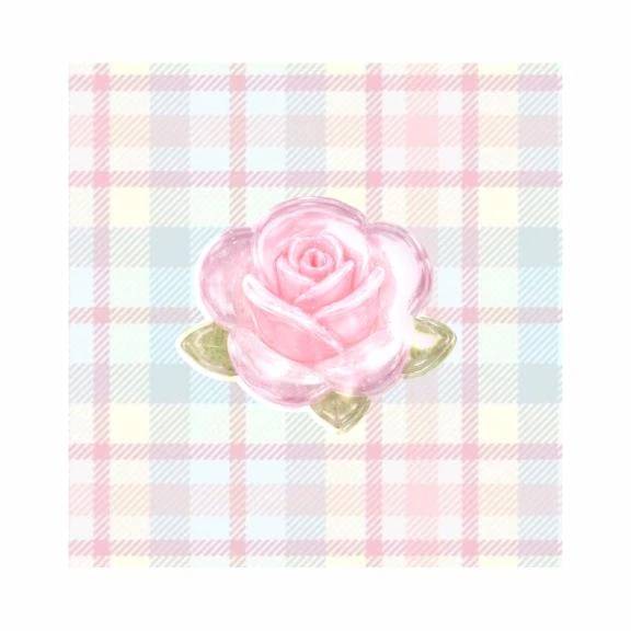 明日も❗️