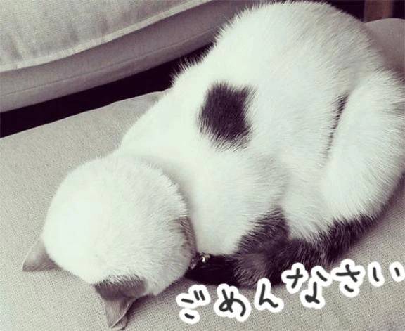 ごめんなさい…！！