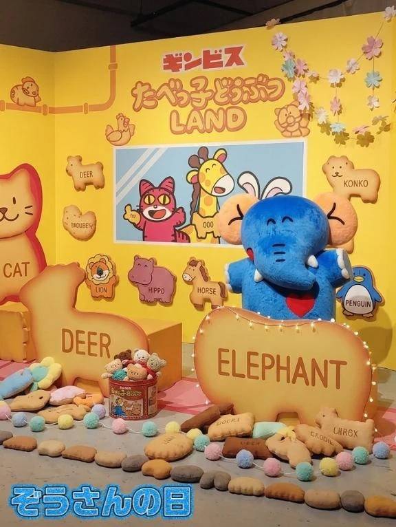 今日は何の日⤴️