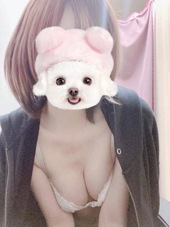 届いたよ📷´-