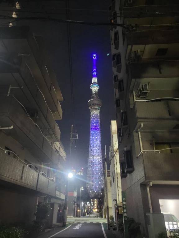 夜散歩🚶‍♀️