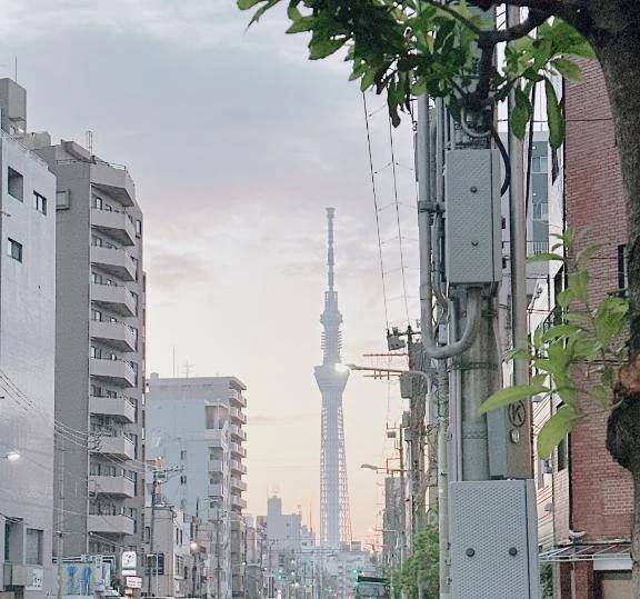 おはようございます☀️
