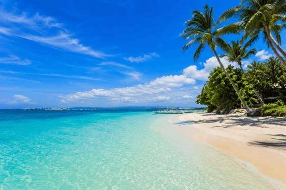 🏝️