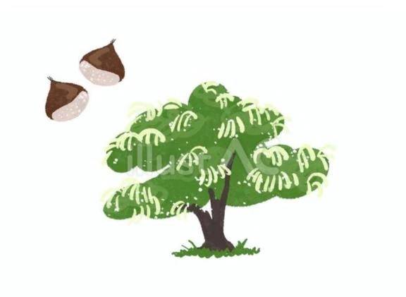 ちょっとへんなはなし🌰\( *´ω`* )/♪