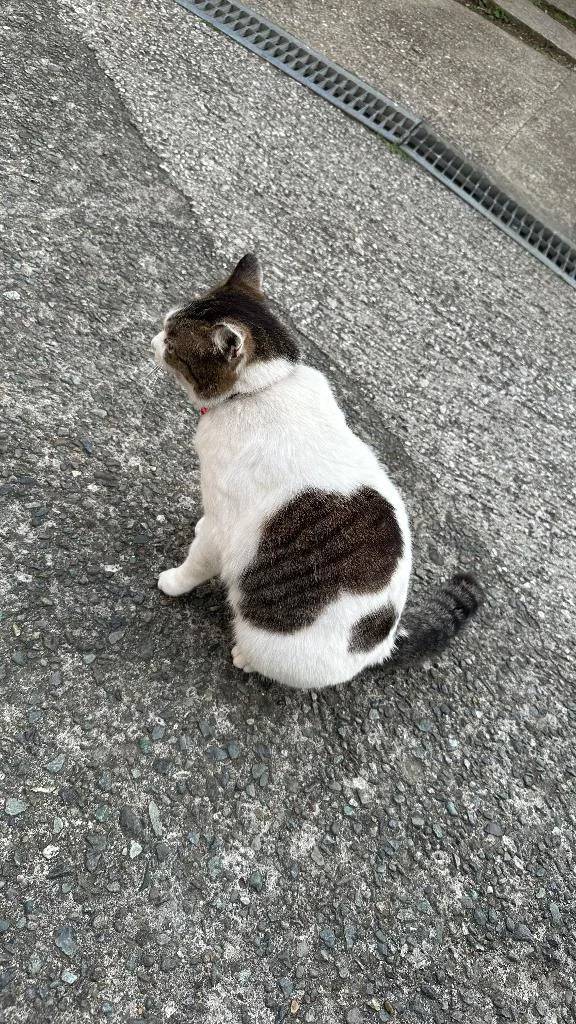 ♡ご予約♡