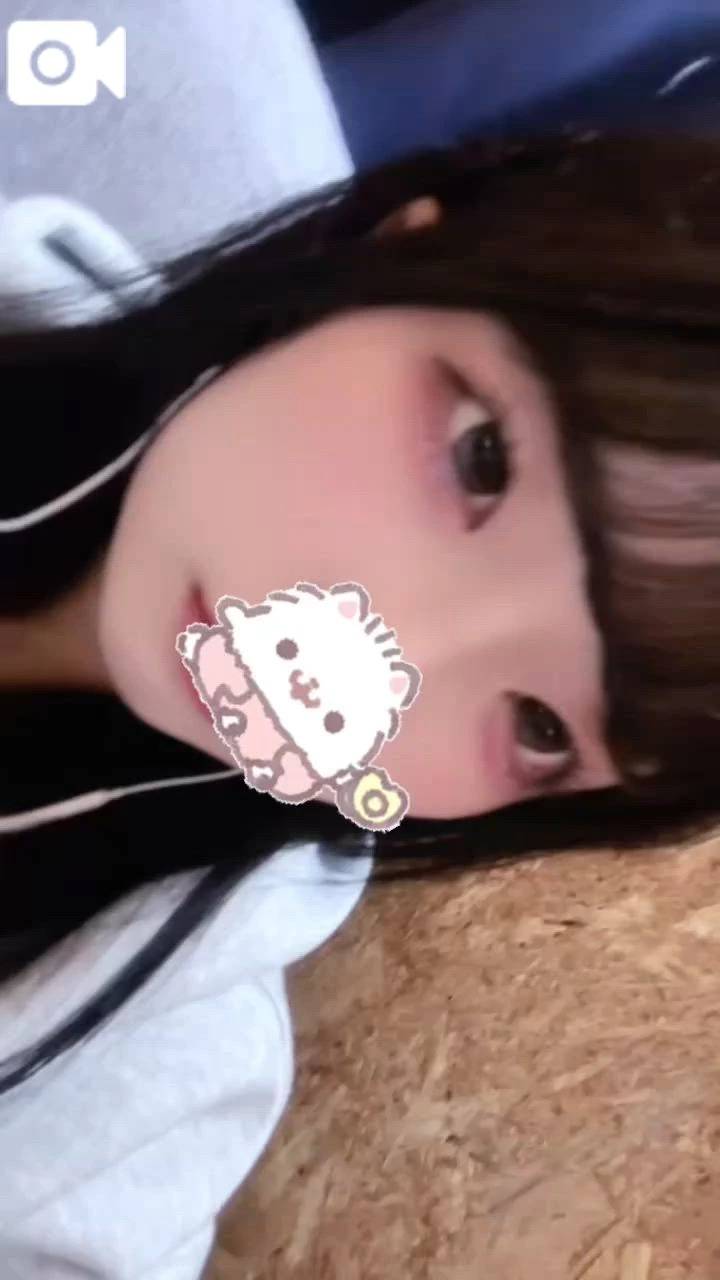 ほんじつのかお