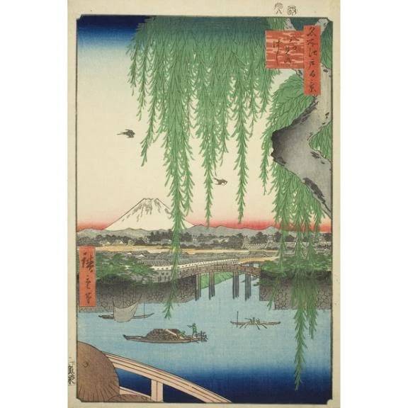 美しい新緑