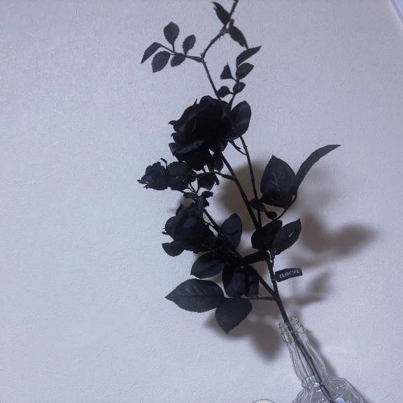 告知です♡