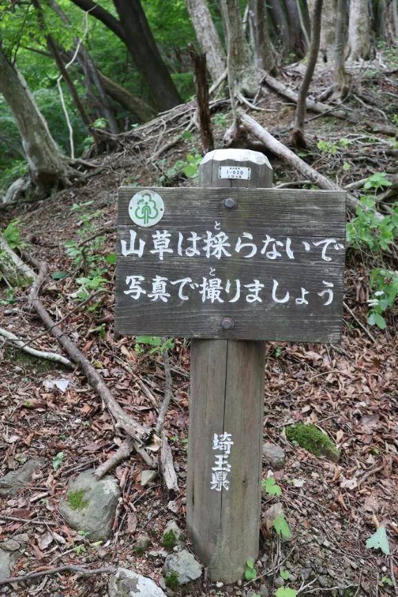 ごがつのよてい🌿\( *´ω`* )/♪