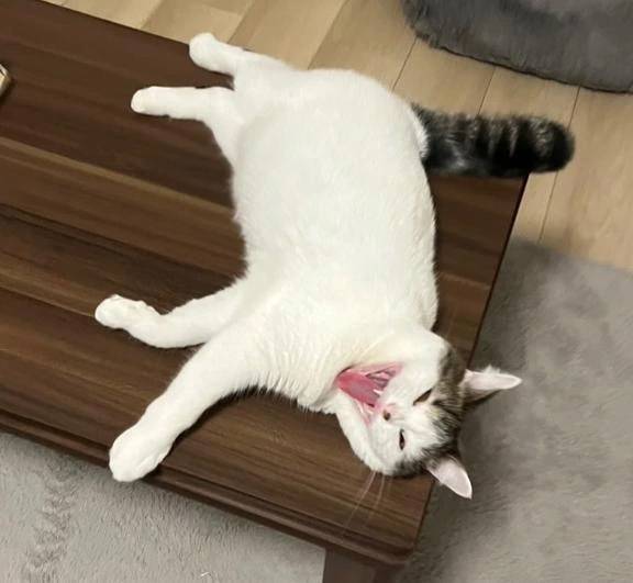 土日は…