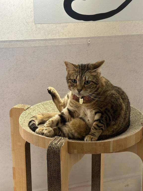 ♡ご予約♡