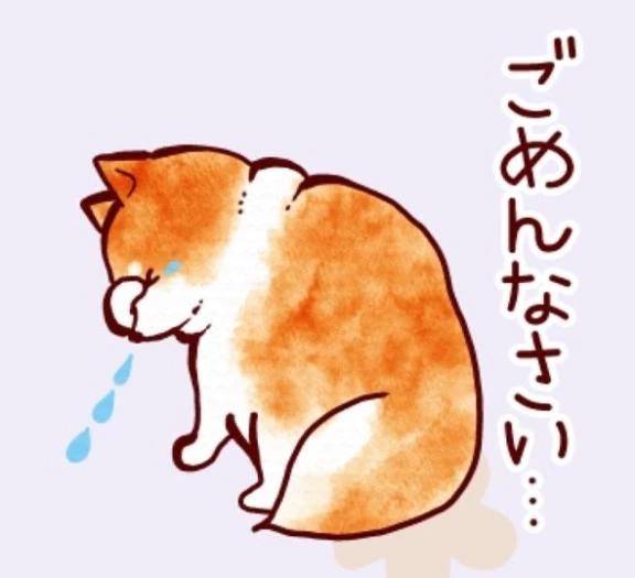 明日は必ず！🙏🏻💕