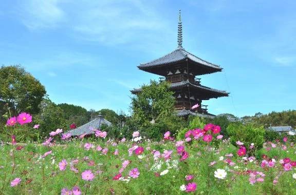 大切にしたいね
