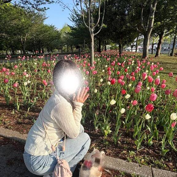 明日のご予定は？