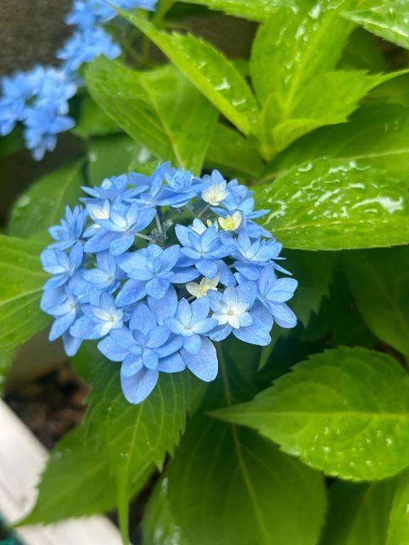 おはようございます☀️