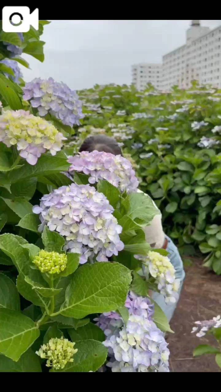 涼しいね☁️