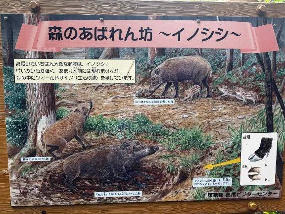 またあ~した\( *´ω`* )/♪