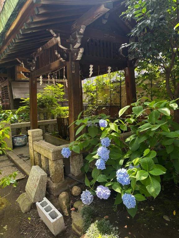 今日は18時から✨