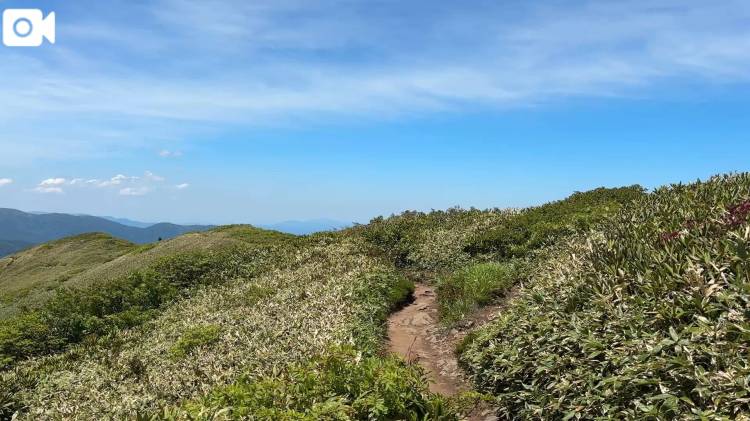 かぜとおどる💃たいらっぴょうとせんのくら⛰️\( *´ω`* )/♪
