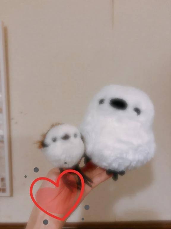 あざらしです🦭