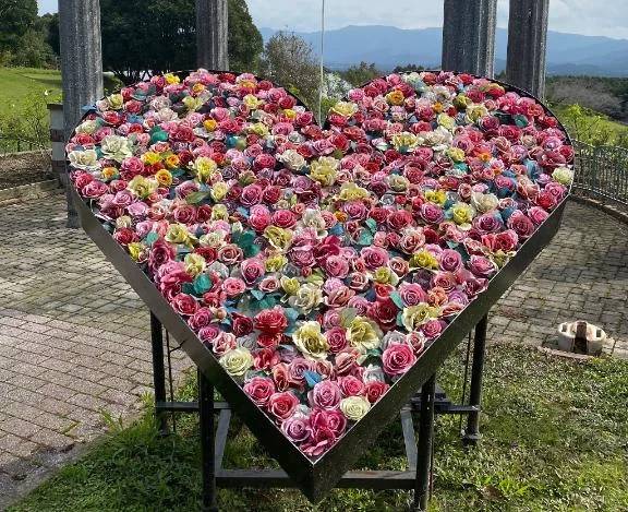 本日も♡♡