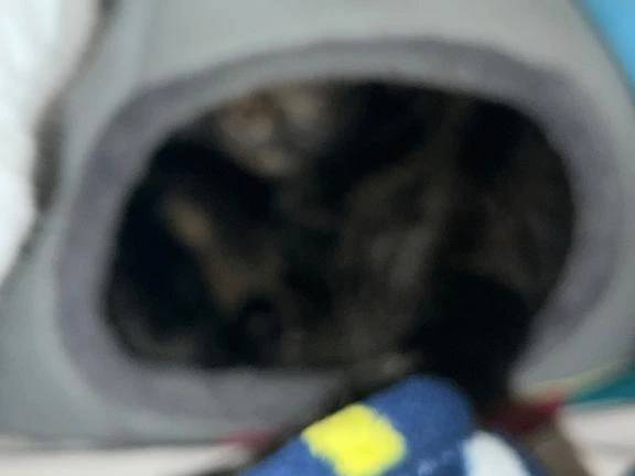 写真撮るの下手くそ界隈
