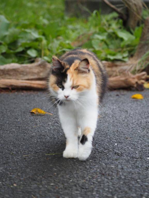 おはようございます🤗