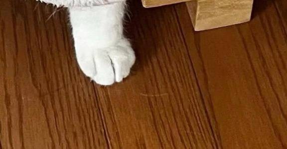 今日もありがとう❤️