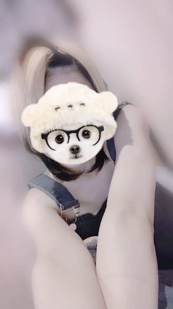 あした❕