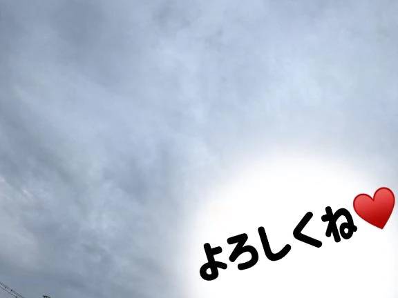 今日の朝のお散歩は快適🐶🐾