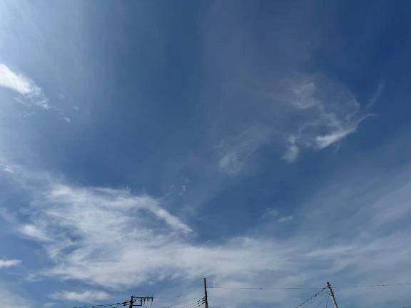 信じられないくらいの早寝🤲
