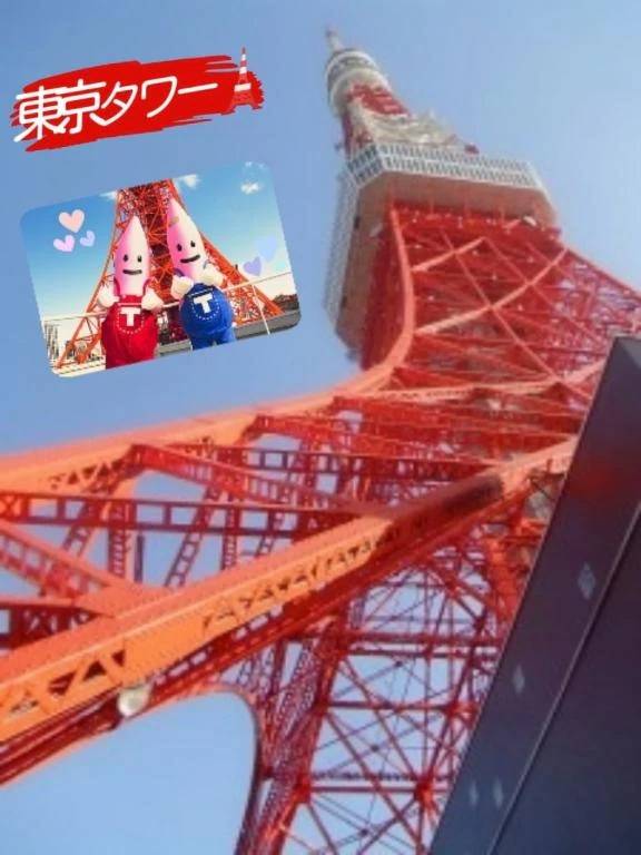 今日は何の日⤴️