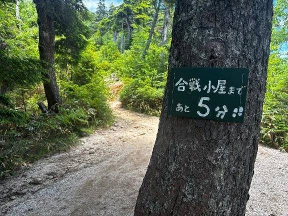 みんなおやすみ\( *´ω`* )/♪
