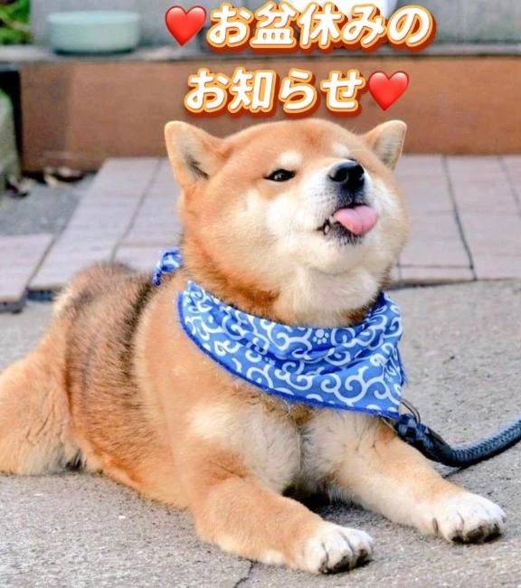 ❤️お盆休みのお知らせ❤️