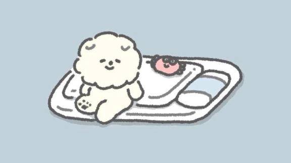 ねるまえのおしゃべり\( *´ω`* )/♪