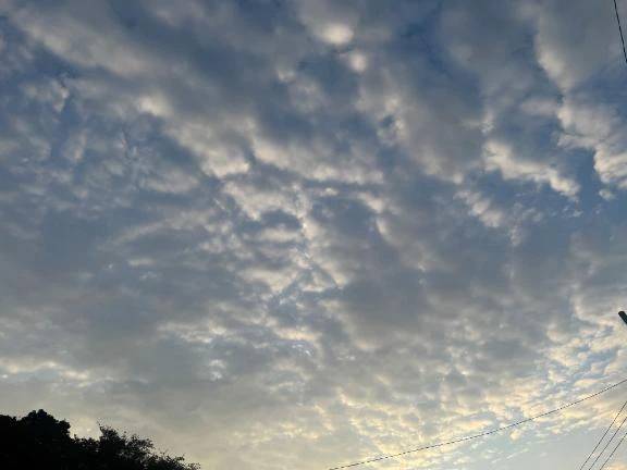 低気圧系の雲💭
