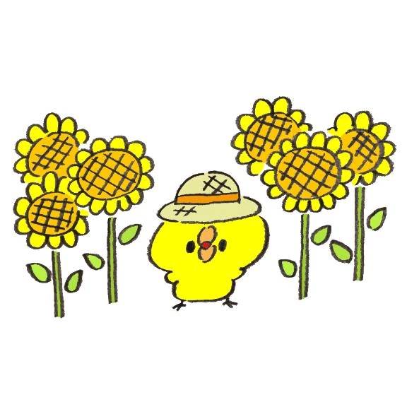🌻